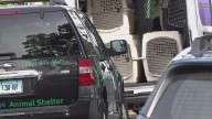 50 animals seized from Watertown, CT home, man charged in animal hoarding case