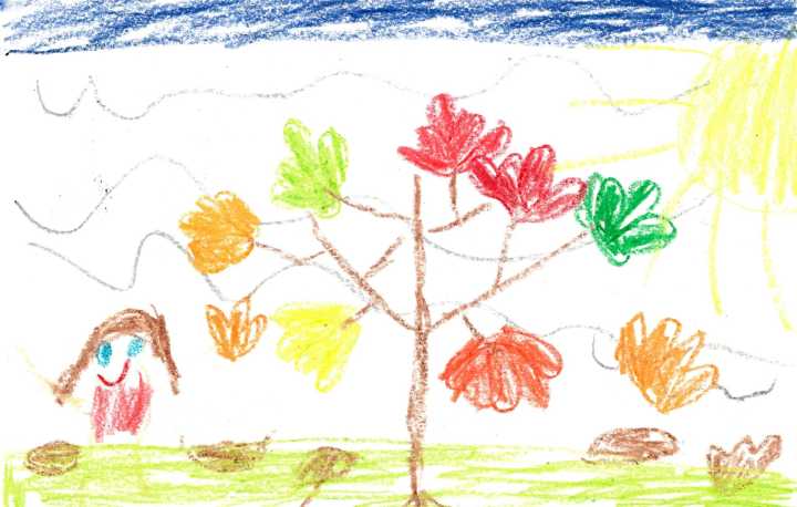 Weather Drawing: Peak fall color