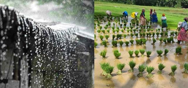 Southwest monsoon ends, northeast showers bring hope for coastal Karnataka farmers
