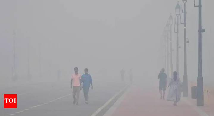 Delhi toxic pollution: To walk or not in bad air? Morning guide answered; masks may help, but may restrict breathing