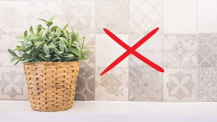 Ni azulejos ni pintura: la alternativa antihumedad que será tendencia en 2026
