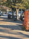 ‘Trash Chaos’: New Yorkers frustrated by rollout of City’s new composting rules