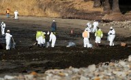 Trump officials back firm in fight over California offshore oil drilling after huge spill