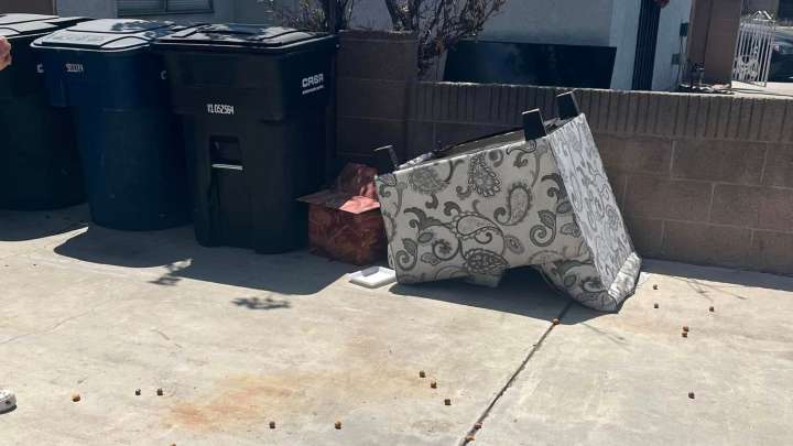 California Pup Left Unwanted On A Stranger’s Porch Is Hoping For Kindness