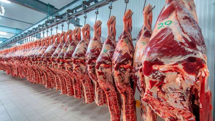Estados Unidos cuadruplicó la cuota para importar carne vacuna desde Argentina