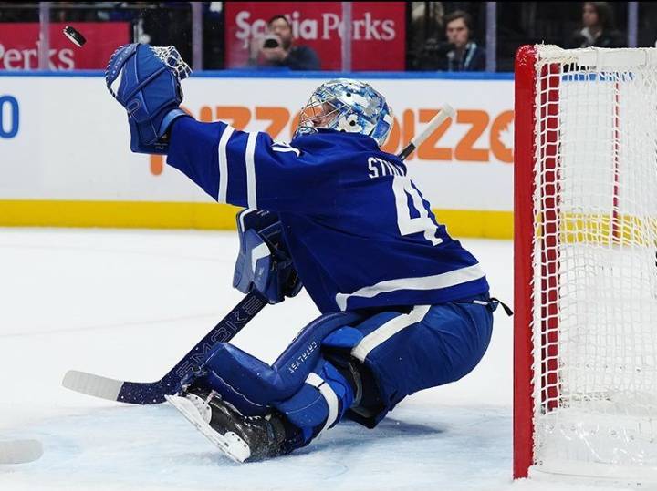 Anthony Stolarz steals a game for Maple Leafs in overtime win