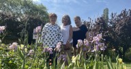 New England Garden Festival blooms with new attractions