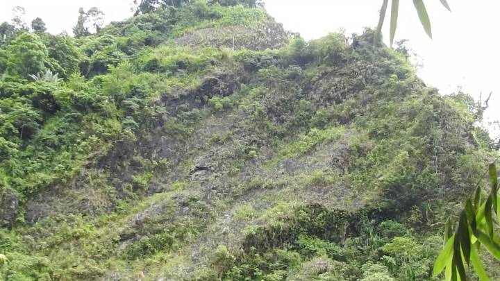 Bihar man dies after falling into Arunachal's Siang