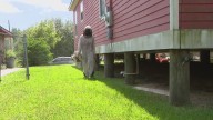 Beekeeper helps 80-year-old Texas woman regain access to her home