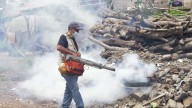 Disminuyen casos de dengue en el estado