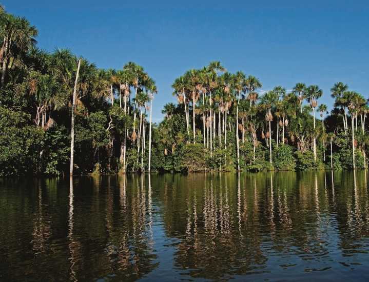 Perú destaca en el mundo: cuatro áreas naturales ingresan al “Top 100 Green Destinations Stories 2025”