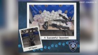K9 Spyro aids DEA in major drug bust in New Braunfels