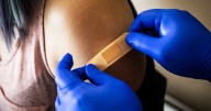 Covid booster vaccine offers more protection for adults 65 and older than younger people, new research finds
