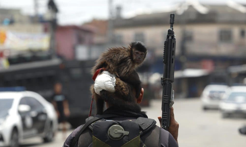 Habitantes de las favelas en Río de Janeiro hallan 40 cadáveres tras la operación policial