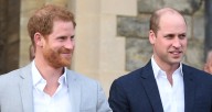 Prince William Shares Rare Comment About Brother Prince Harry Amid Ongoing Royal Family Feud | Prince Harry, Prince William 