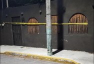 Investiga FGE crematorio de mascotas en Chetumal