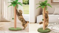 Save 28% on a playful cat scratching post at Amazon's October sale