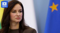 Lithuania drafting plans to shut Belarus border indefinitely after balloon disruptions