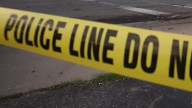 Woman charged after crashing into Center Line home, hurting girl, 9