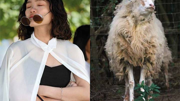 Clara de Estrada juega a borrar los límites entre lo humano y lo animal y presenta “Avistaje”