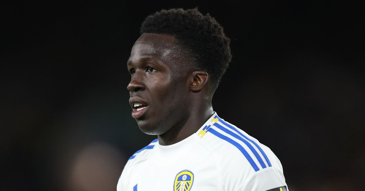 Leeds United injury news and return dates - Noah Okafor, Wilfried Gnonto, Harry Gray latest
