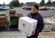 Nuevas reglas en el programa CalFresh, el SNAP de California: requisitos y quiénes aplican
