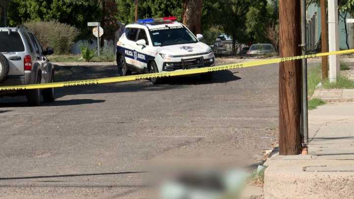 Abandonan a Perrito Sin Vida Envuelto en Cobija en Colonia Centro de Hermosillo