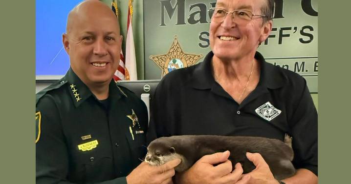 'OTTER-LY' AMAZING! Meet MCSO's newest helper in search and recovery efforts