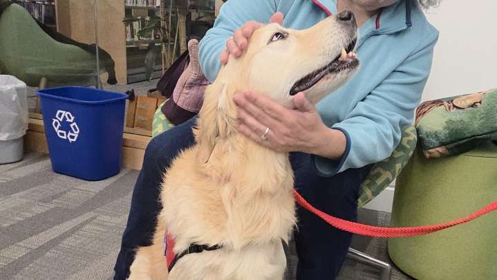 Therapy dog sessions return to library — and they aren't just for kids