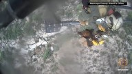 Dog airlifted to safety after falling down Arizona canyon: VIDEO