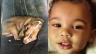 Tampa toddler disappears with family dog