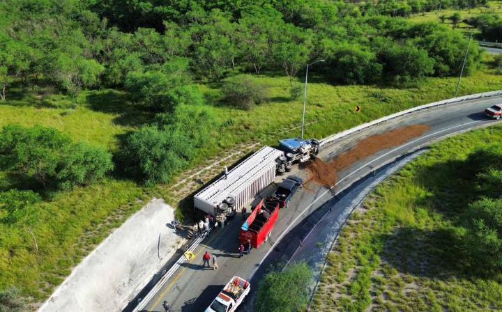 Vuelca tráiler lleno de vacas en la autopista Periférico en Juárez, Nuevo León