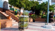 Crean un diseño paisajístico sostenible en una plaza de San Pedro Alcántara