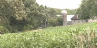 Lead veterinarian at Ridglan Farms has license suspended
