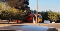 Farmworkers honored for rescuing 20 children from burning school bus in California