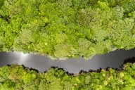 Reform of NZ’s protected lands is overdue – but the public should decide about economic activities