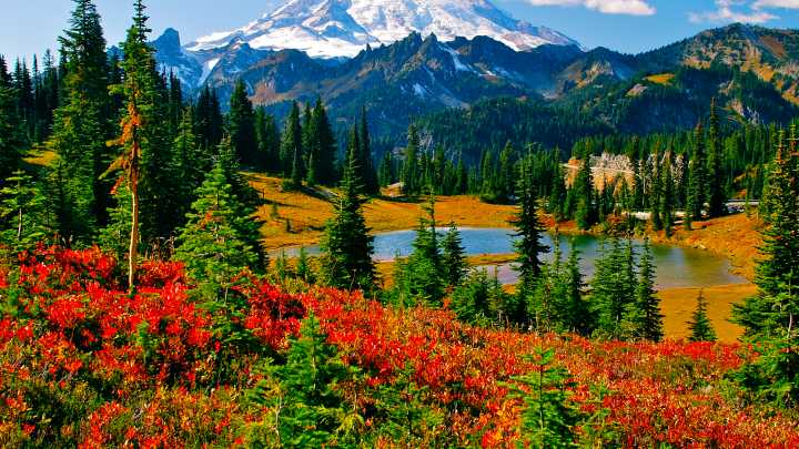 Washington's Top National Park Is Accessible Via AmtrakWashington's Top National Park Is Accessible Via Amtrak