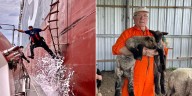 Tercera edad, segunda vida: de práctico en el puerto a criador de ovejas en Entre Ríos