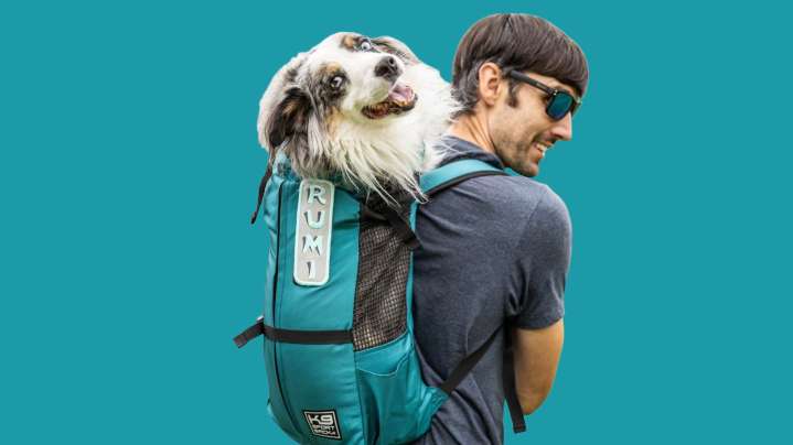 Save $10 on Chewy's K9 Sport Dog Carrier Backpack