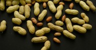 Advice to feed babies peanuts early and often helped 60,000 kids avoid allergies, study finds