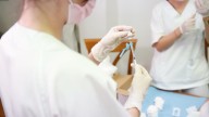 Un fallo en el sistema impide la citación online para la vacunación de la gripe en Aragón