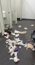 Vandals once again target Sylvan Lake public washroom
