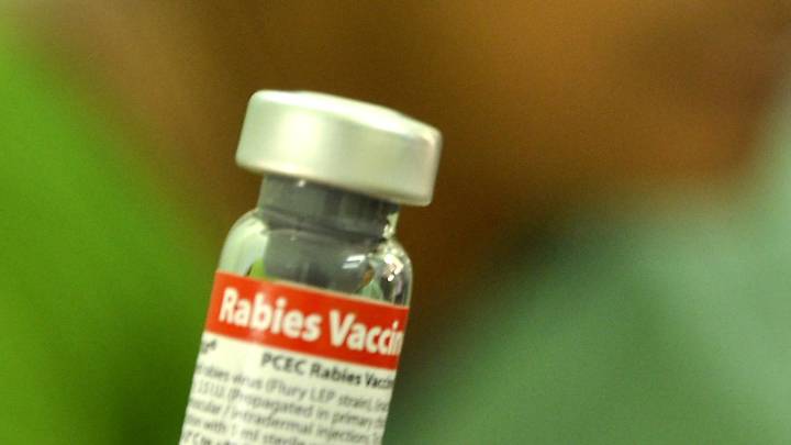 In Focus podcast | Why does rabies still kill so many in India?