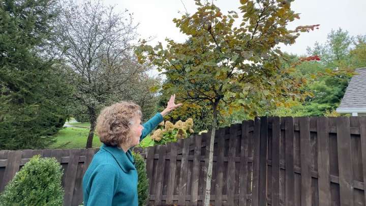 Norton Leatherman Spine nationally recognized for treating adult scoliosis