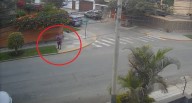 San Isidro: Captan a sujeto que habría envenenado a mascotas en parques de ese distrito 