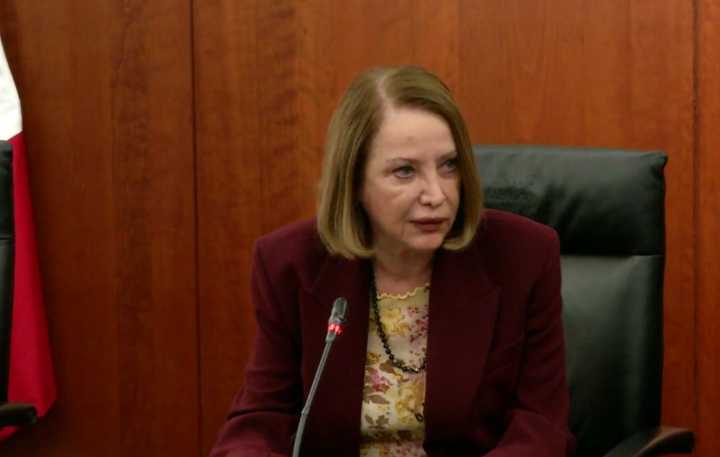 Condena Laura Itzel Castillo acoso a connacionales por redadas