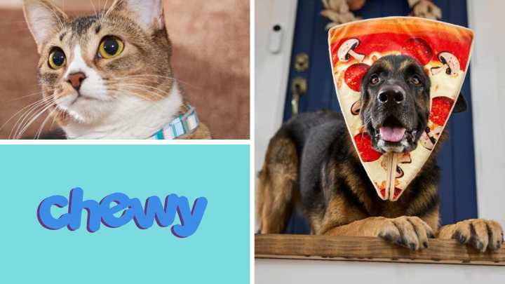 Chewy new customer gift card deal gives pet parents $20 back