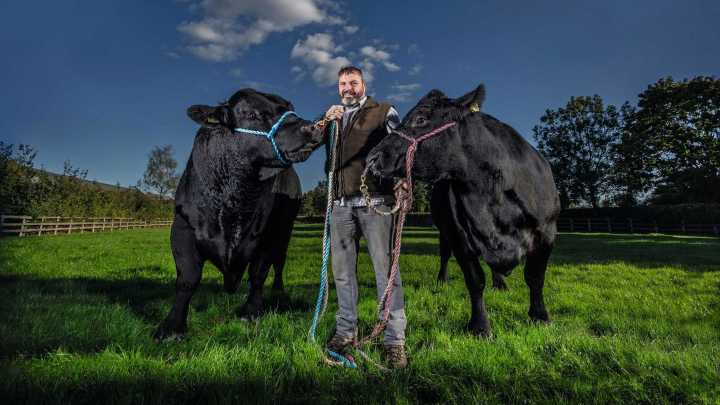 'Sir David Beckham came to see our cattle a couple of years ago. He was fascinated': The stockman at the Glympton Estate