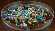 Cómo reducir la presencia de microplásticos en la cocina: estas son las claves detrás de su propagación