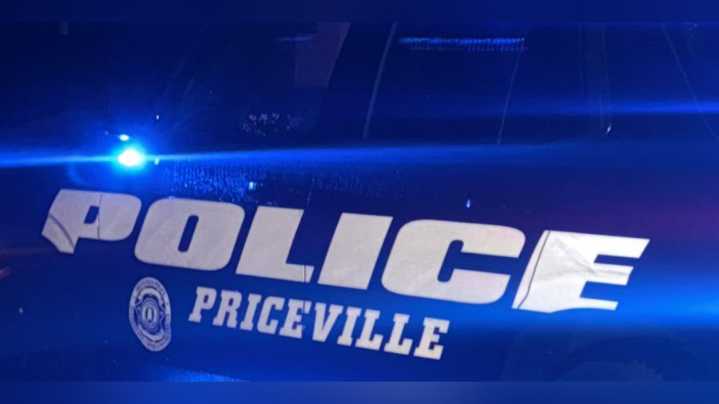 Two arrested in connection to storage unit burglary in Priceville